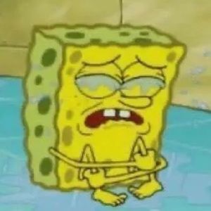 Meet your Posher, Bella